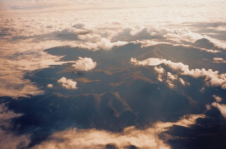 phoenix_02