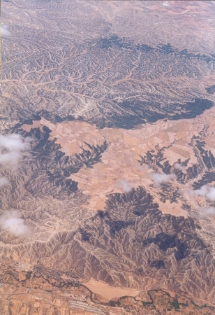 phoenix_03