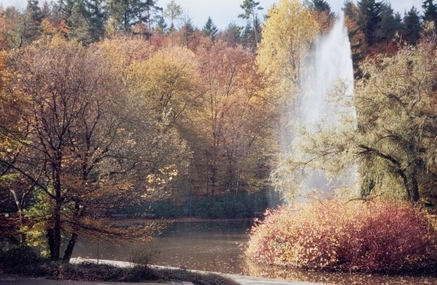 water_05