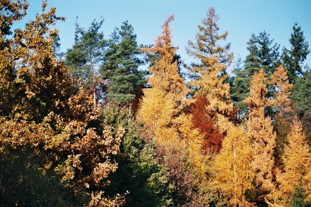 herbst_02