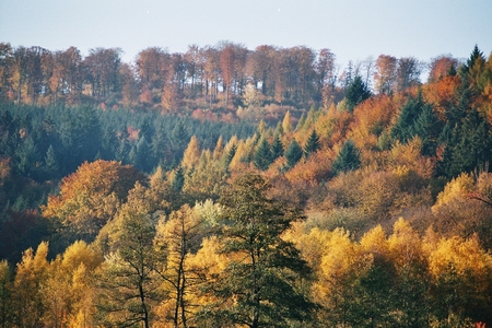 herbst_05