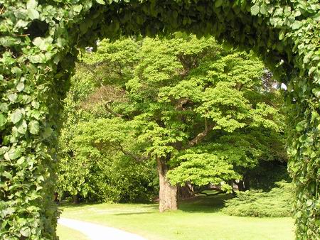 schloss_ka_07