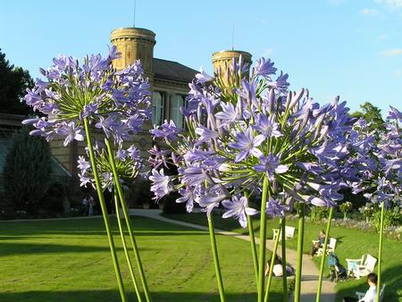 schloss_ka_08