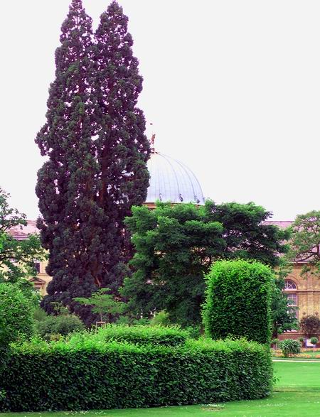 schloss_ka_10