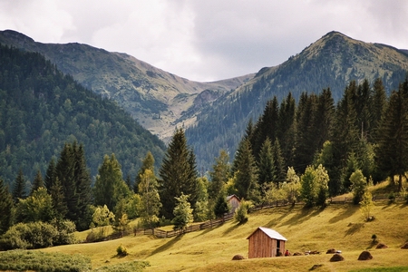 pietrosu_02
