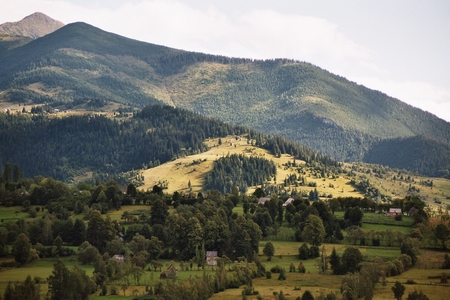 pietrosu_03