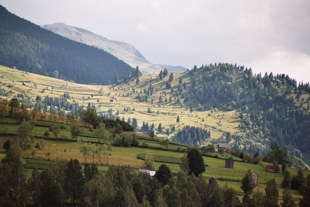 pietrosu_04