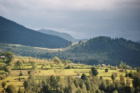 pietrosu_05