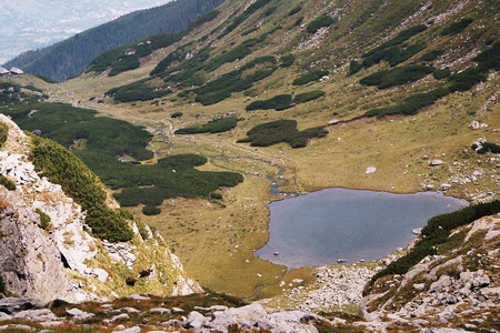 pietrosu_08