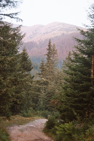 retezat_11