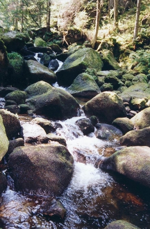 triberg_07