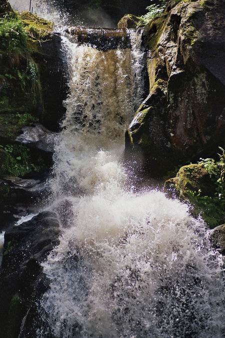 triberg_16