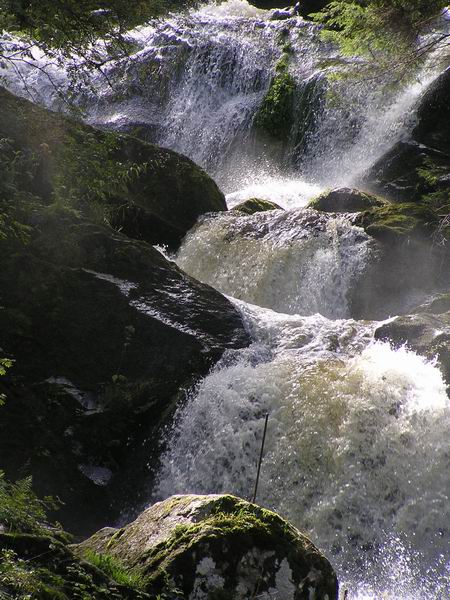 triberg_18