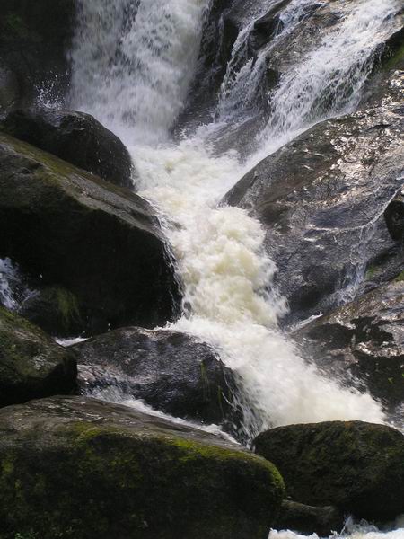 triberg_22