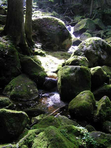 triberg_23