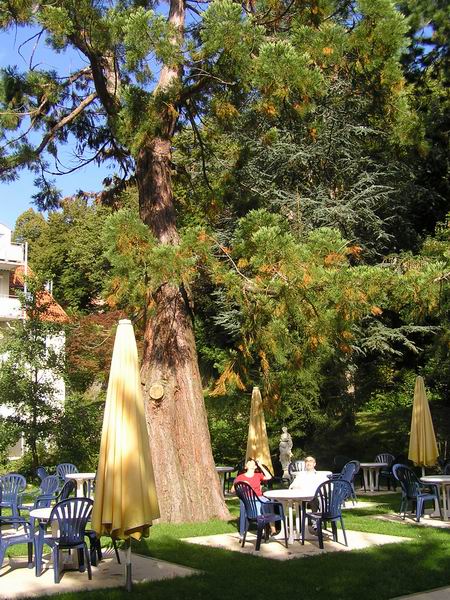triberg_24
