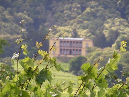 01_weinstrasse