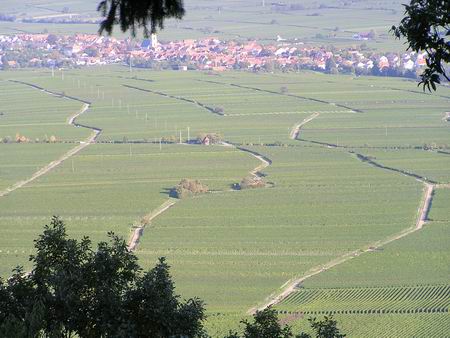 05_weinstrasse