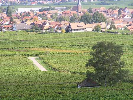 06_weinstrasse
