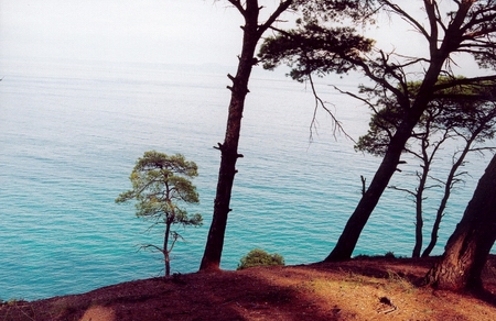 wildness_09