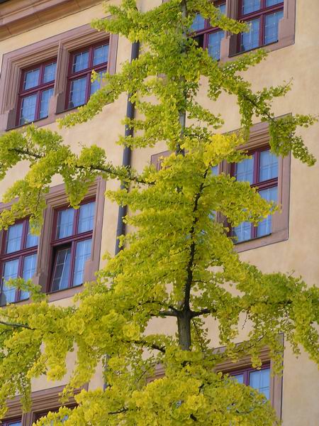 wuerzburg_12